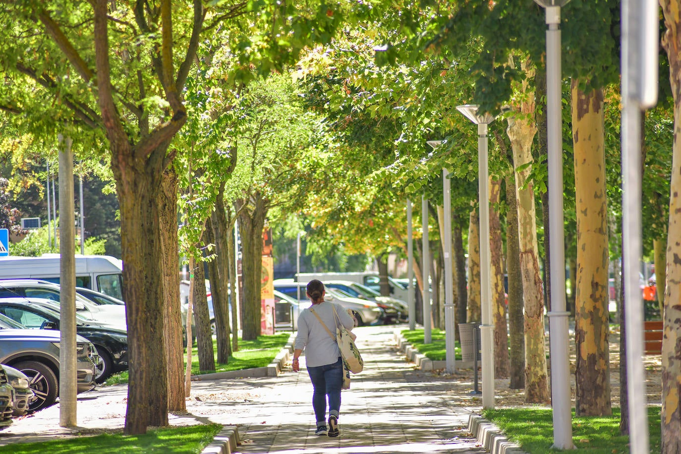 Una de las arterias principales en Huerta del Rey