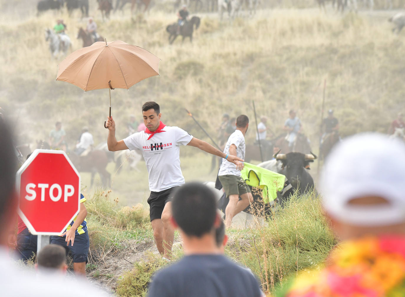 Las mejores imágenes del encierro de Arrabal de Portillo