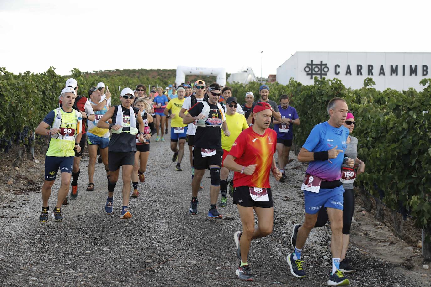 La quinta Ribera Run Experience de Peñafiel, en imágenes (2/2)