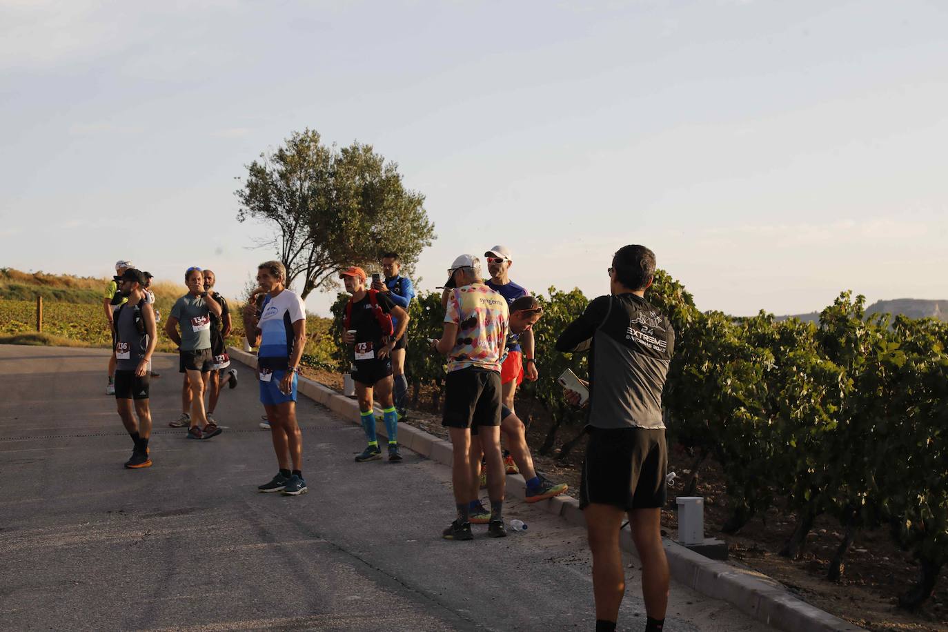 La quinta Ribera Run Experience de Peñafiel, en imágenes (1/2)