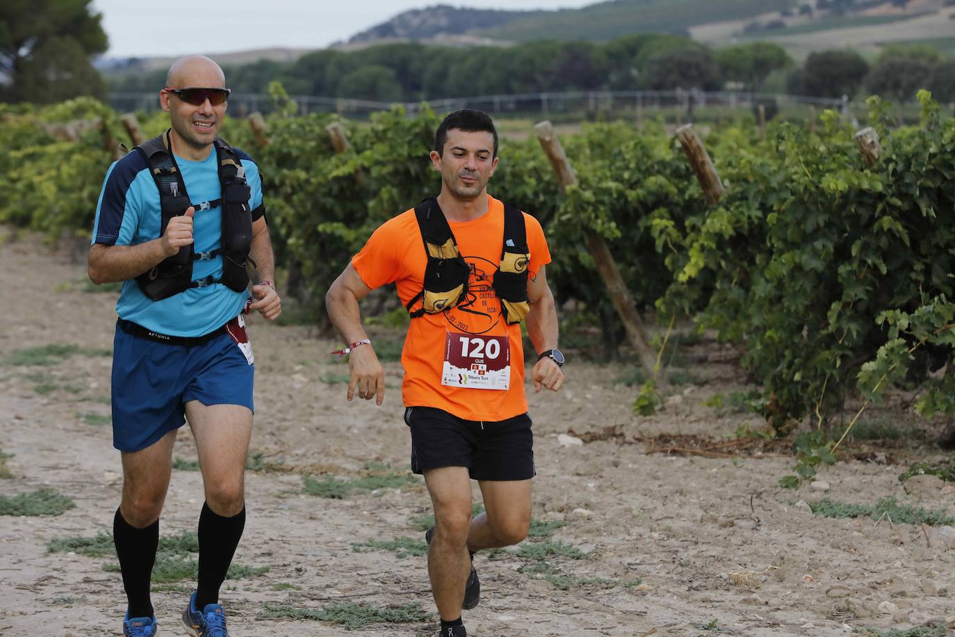 La quinta Ribera Run Experience de Peñafiel, en imágenes (2/2)