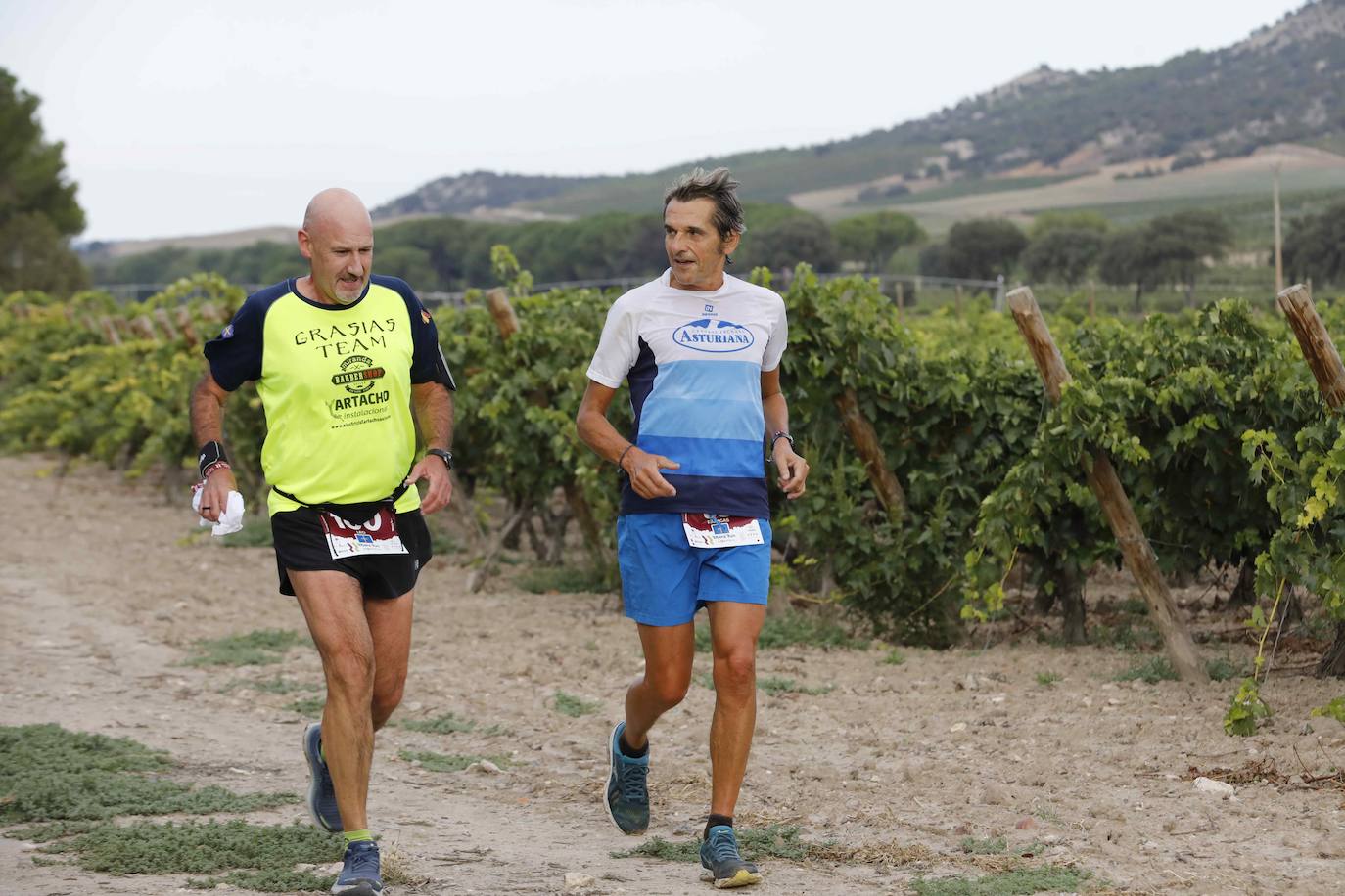 La quinta Ribera Run Experience de Peñafiel, en imágenes (2/2)