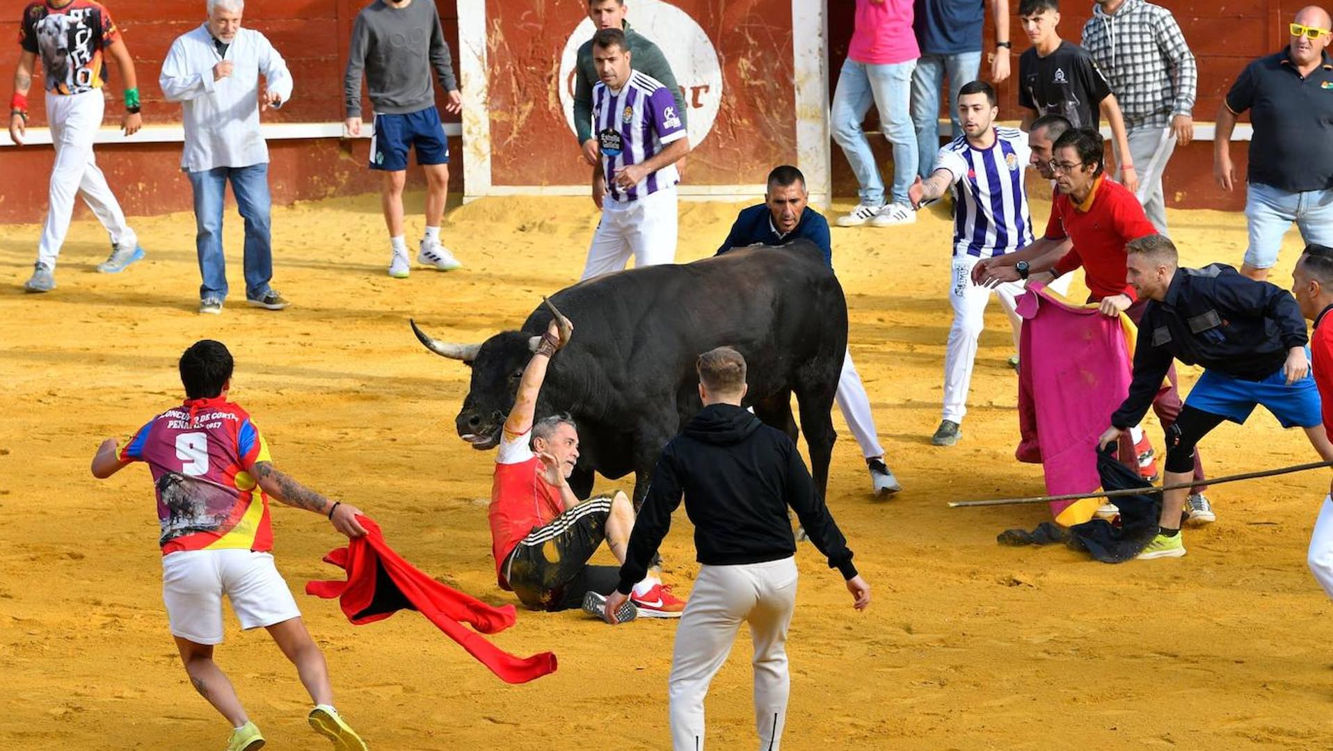 El hostelero corneado en Cuéllar (Segovia): «Lo único que oía eran gritos  de la gente y el bufido del toro» | El Norte de Castilla