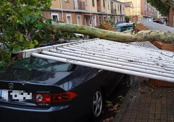 Un árbol caído ha derribado una valla y ha abollado un coche.