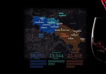 Vino sin vender y una brecha mayor entre pequeñas y grandes bodegas: la nueva crisis del rioja