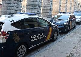 Coches de Policía Local y Policía Nacional, en el entorno del Acueducto.