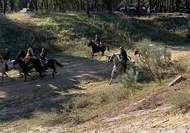 Encierro en Nava de la Asunción este miércoles.