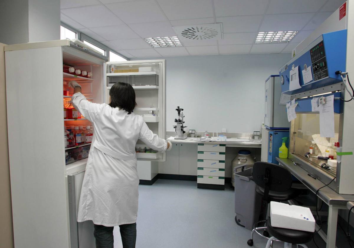 Laboratorio del Instituto de OftalmoBiología Aplicada (IOBA).