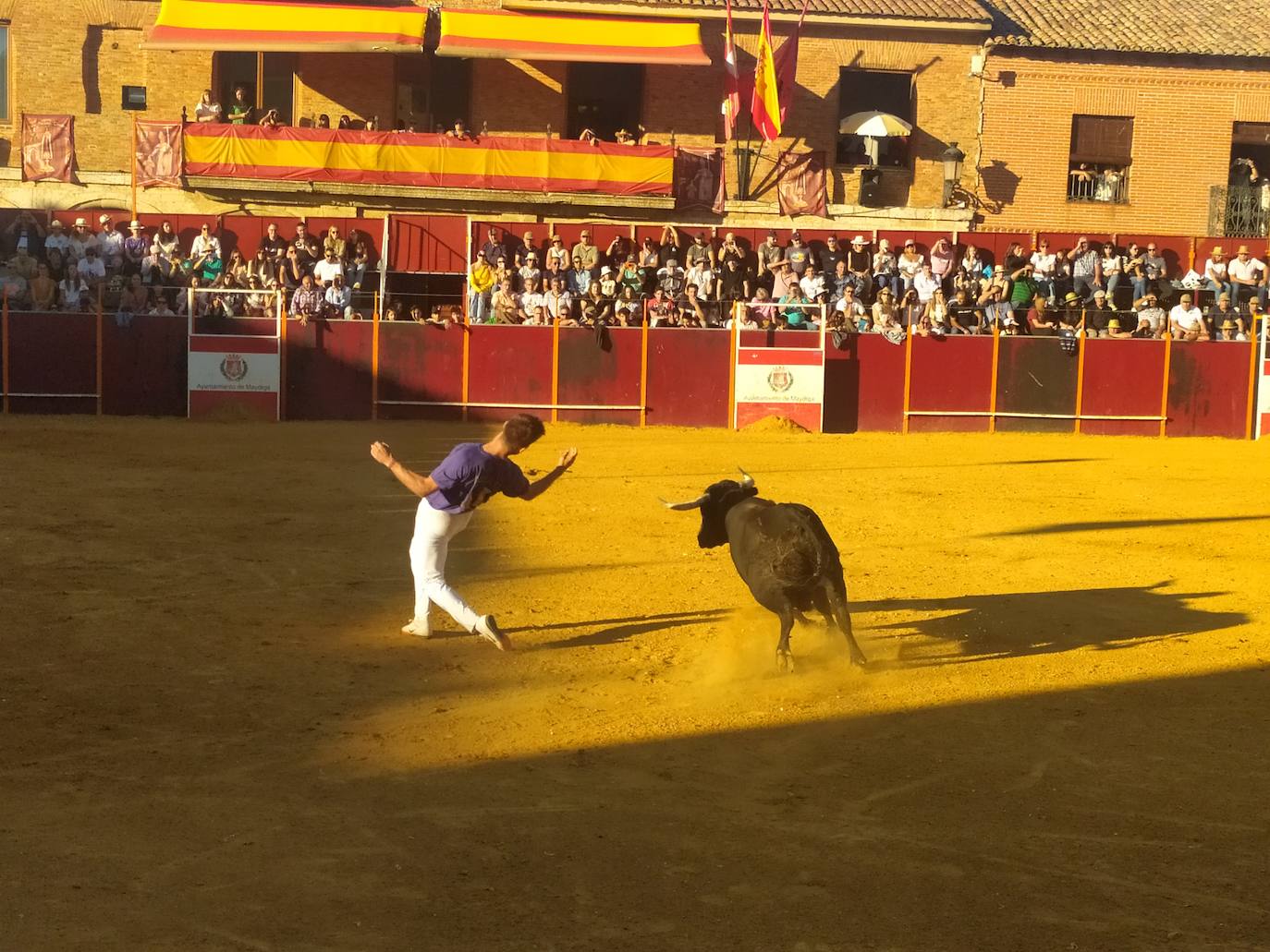 El Concurso de Cortes de Mayorga, en imágenes (III)