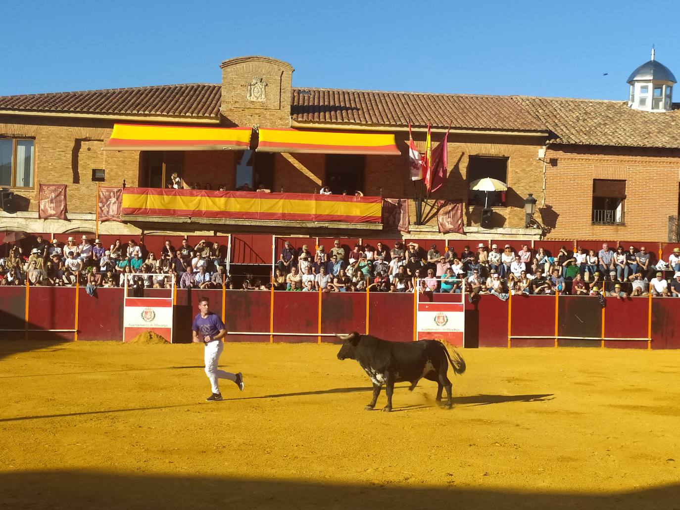 El Concurso de Cortes de Mayorga, en imágenes (I)