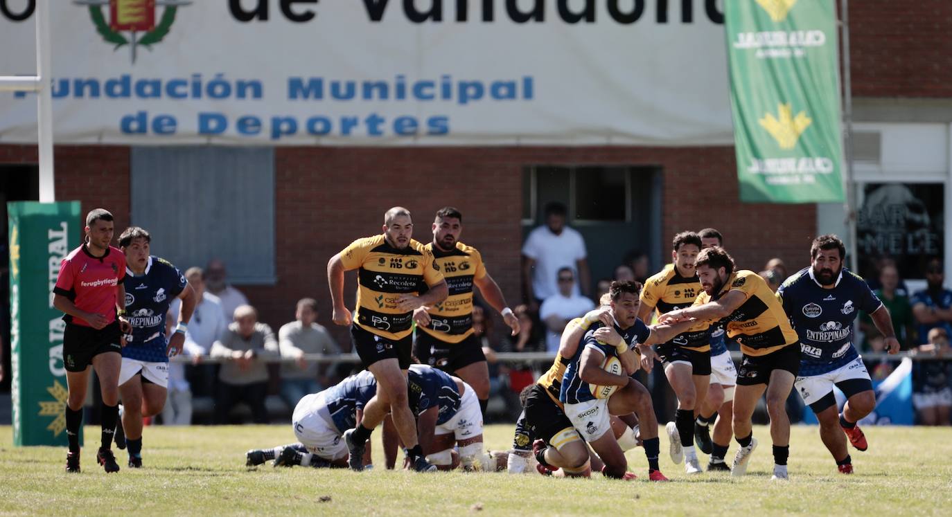 La final de la Supercopa de Rugby, en imágenes