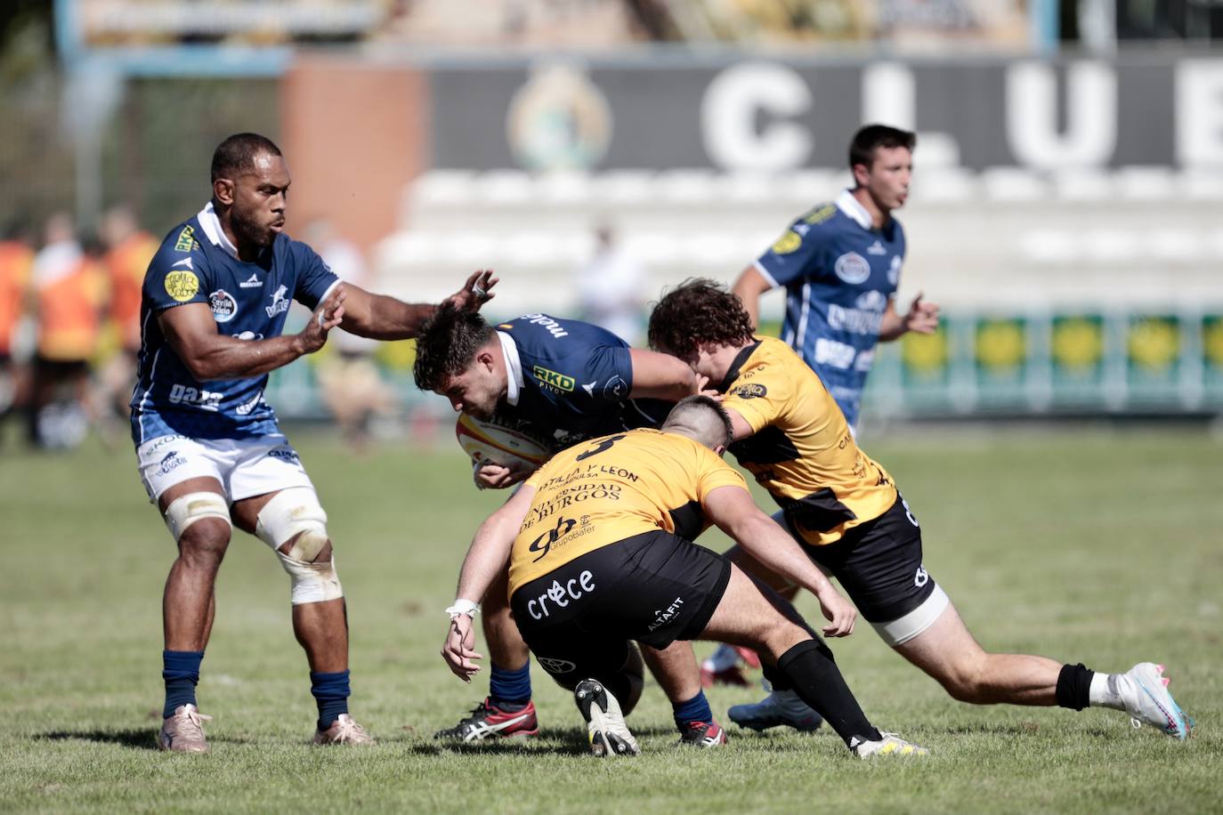 La final de la Supercopa de Rugby, en imágenes