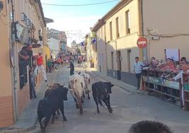 Mayorganos y visitantes disfrutan del encierro por las calles del pueblo.