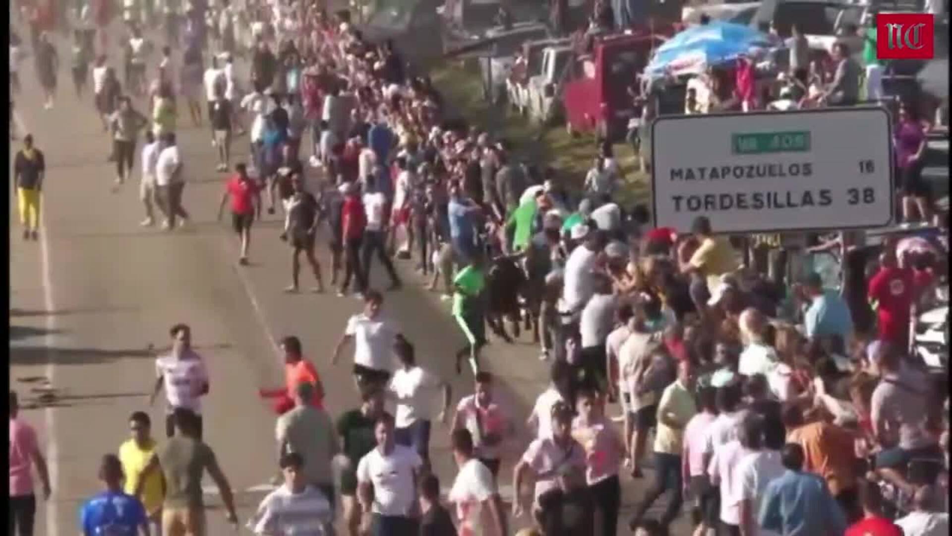 Cogida en el cuello a un hombre en Olmedo