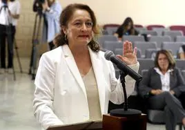 Pilar Martín toma posesión como nueva diputada provincial.