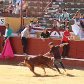 IU se desmarca de la entrega a los escolares de entradas gratuitas para los toros