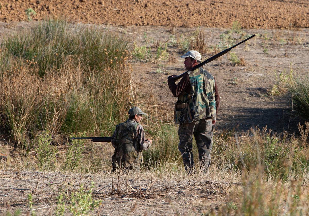 Dos cazadores buscan presas en un campo de la provincia.