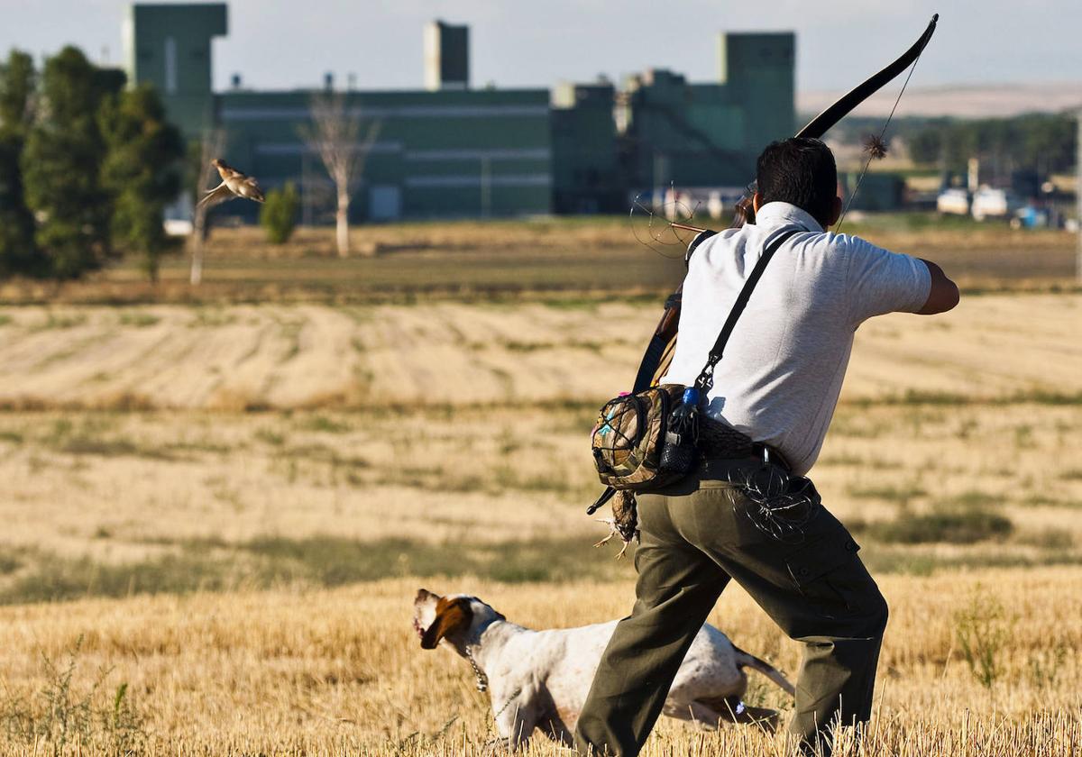 Un cazador dispara a una cordoniz en Fuentepelayo.