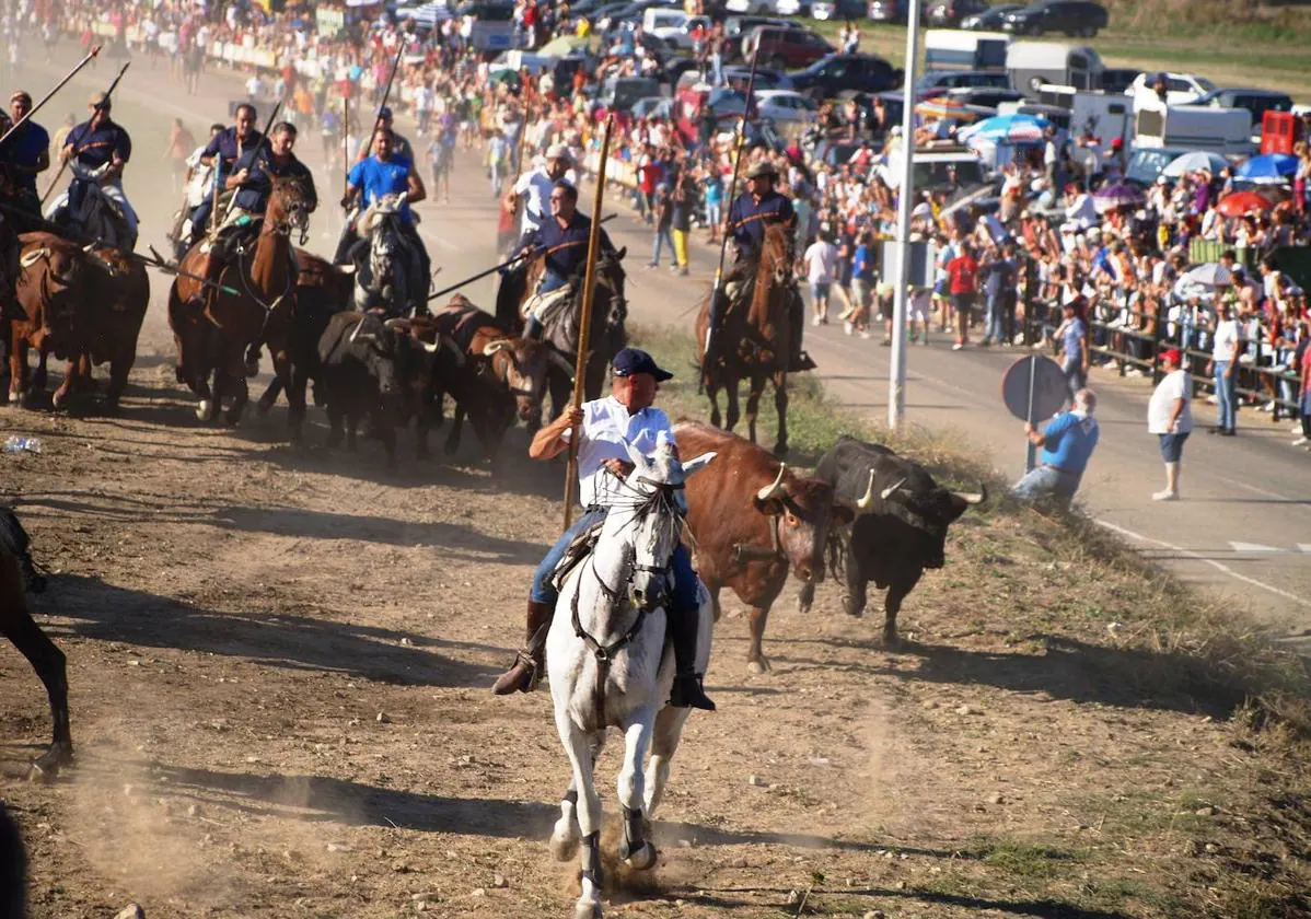 Olmedo, Íscar y Mojados festejan a sus patrones con espectáculos taurinos |  El Norte de Castilla