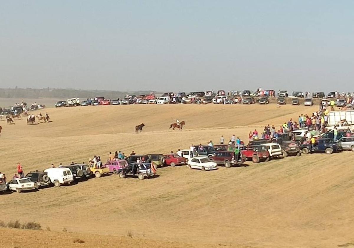 Decenas de vehículos siguen de cerca el encierro de campo celebrado este domingo en Villabrágima.