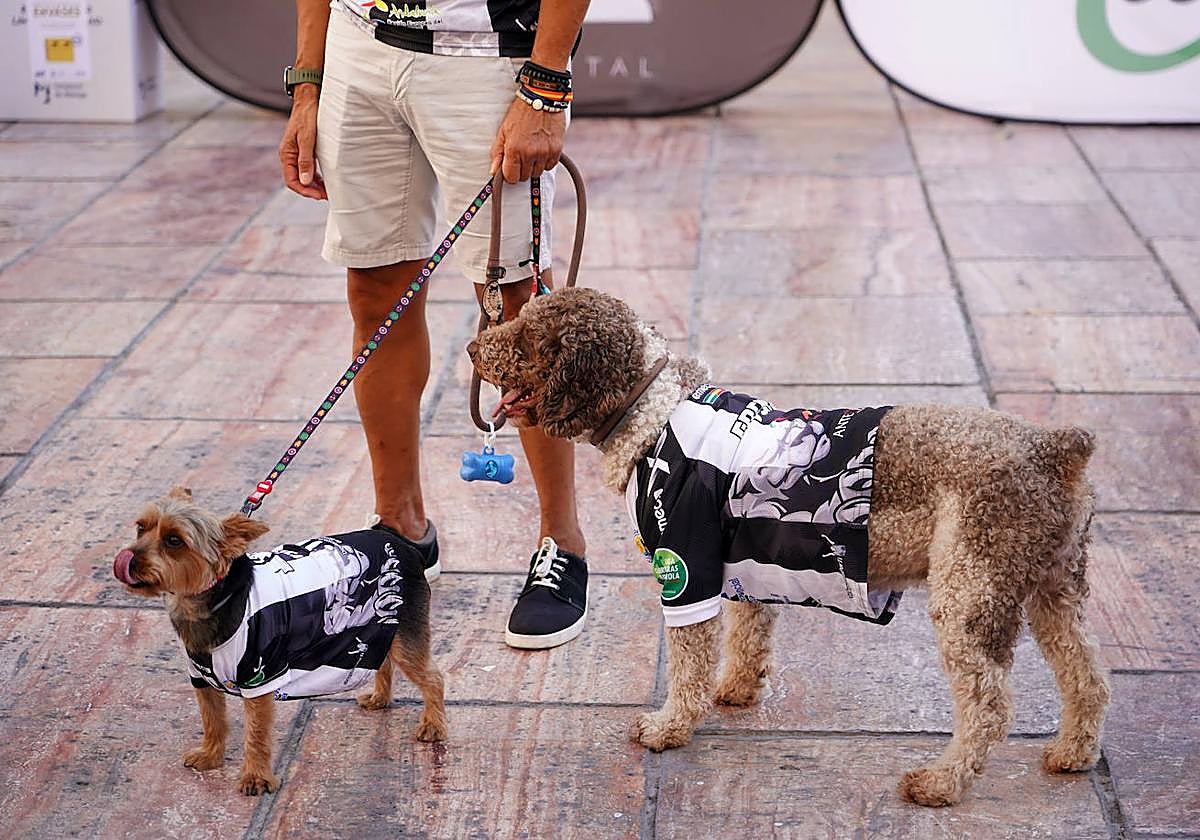 Bestiarios políticos