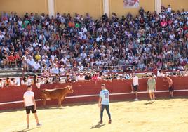 Festejo con vaquillas durante las pasadas fiestas de San Miguel y público.