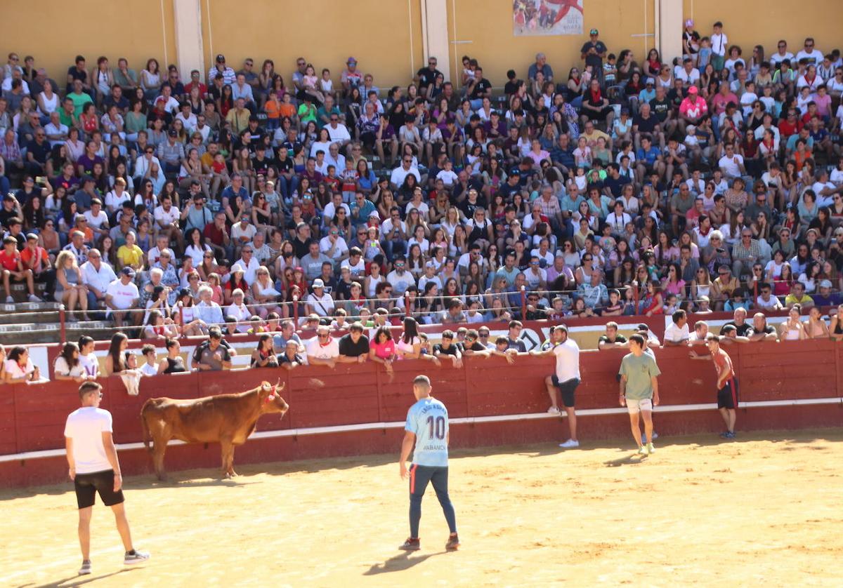 Festejo con vaquillas durante las pasadas fiestas de San Miguel y público.