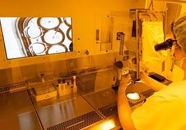 La planta de reproducción asistida del Clínico de Valladolid.