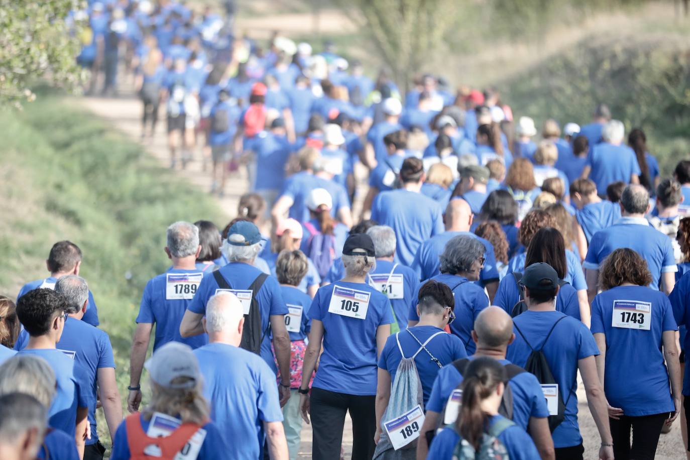 El éxito de participación en la Caminata Popular del Banco de Alimentos, en imágenes