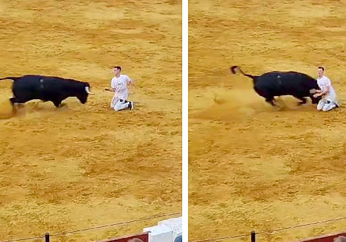 &#039;Guindi&#039; gana el concurso de cortes, quiebros y saltos de Olmedo