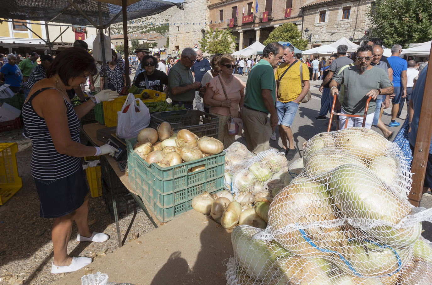 Palenzuela presume de su cebolla horcal