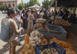 La característica cebolla horcal de Palenzuela, gran atractivo entre los puestos.