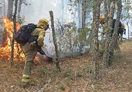 Brigadistas en un incendio forestal este verano en León.