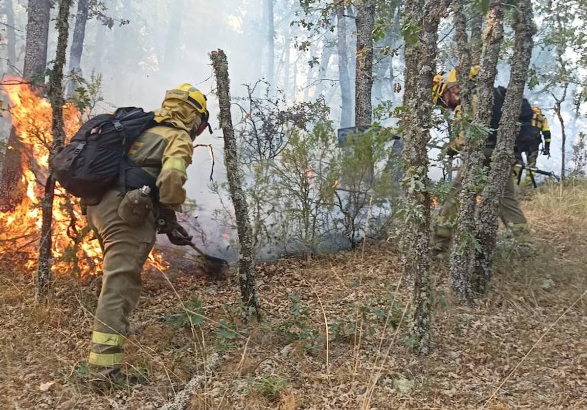 Brigadistas en un incendio forestal este verano en León.