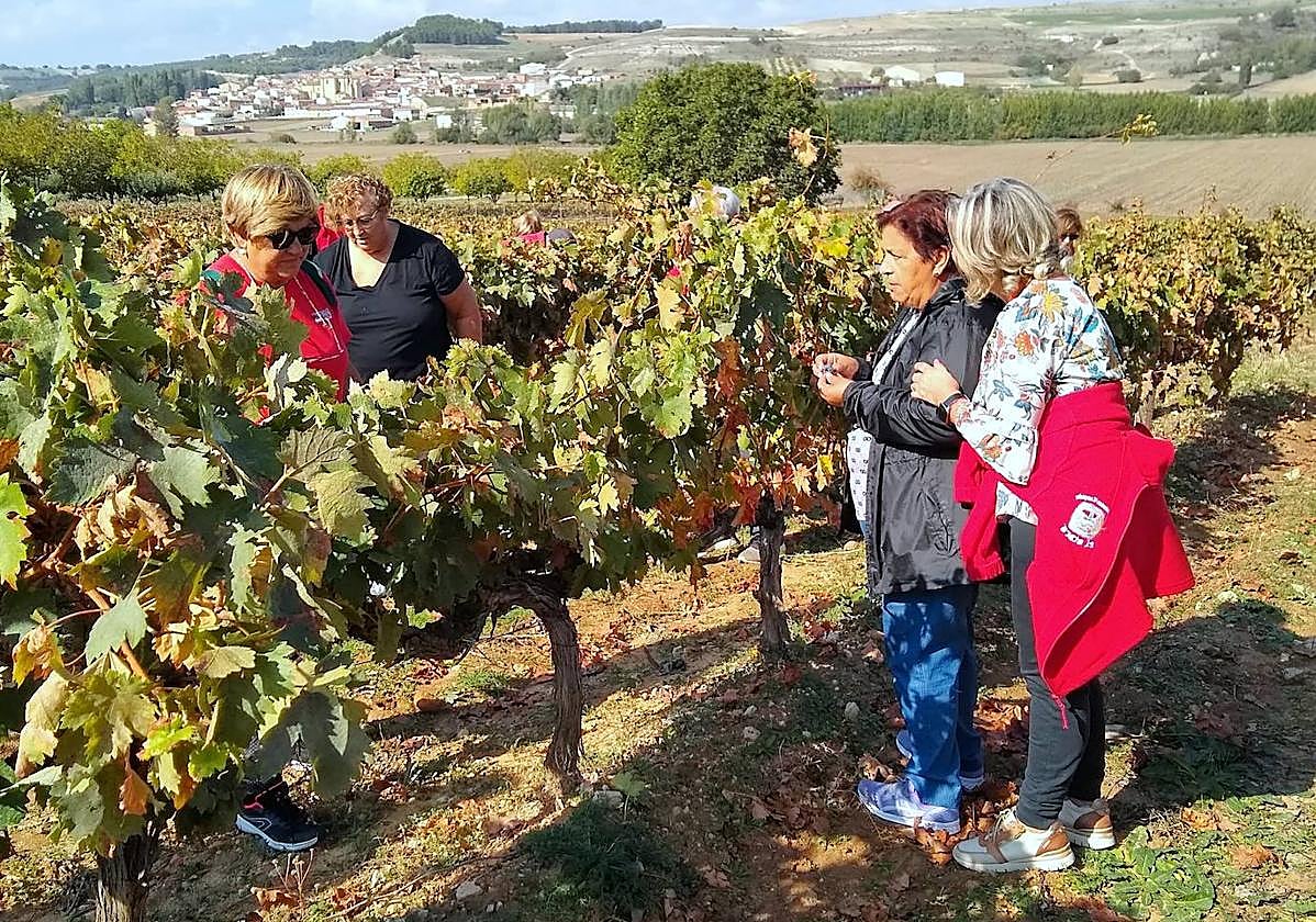Participantes en la Fiesta de la Vendimia de Castrillo de Don Juan.