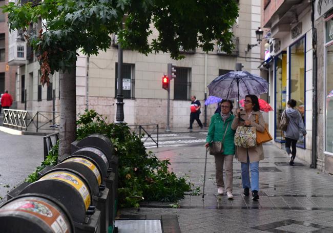 Dos mujeres observan la rama que tiró el viento en la calle Angustias.