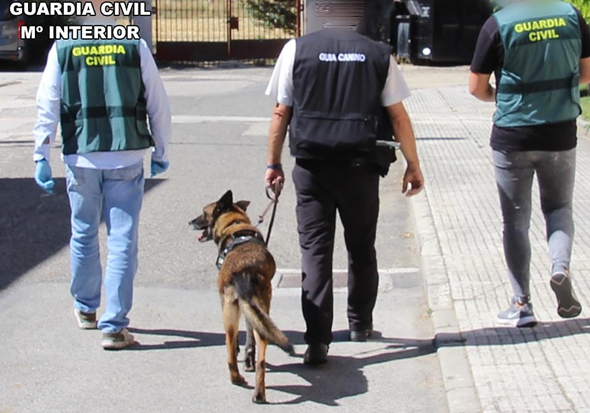 Imagen de archivo del servicio cinológico de la cárcel.