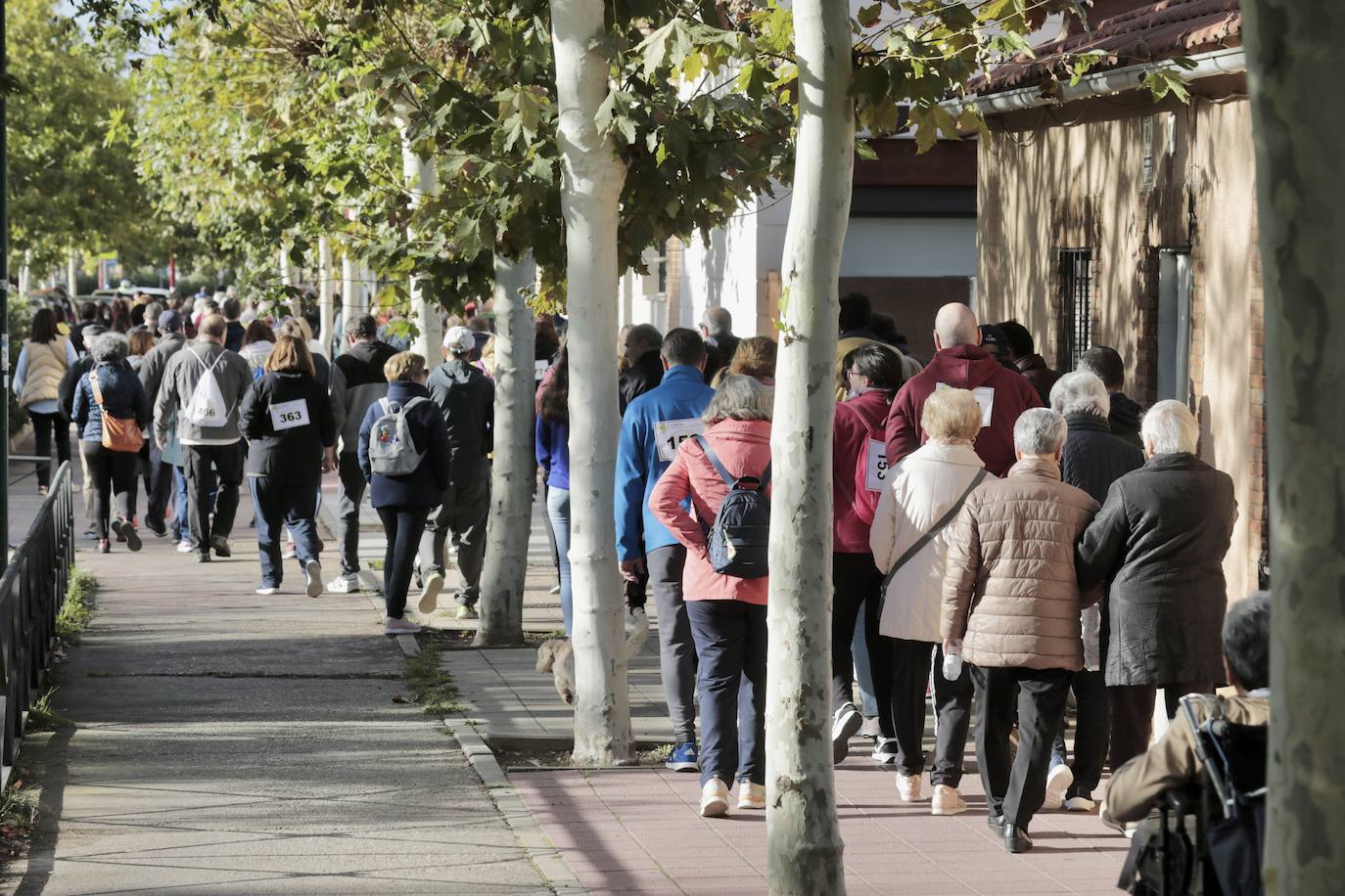 Marcha por el daño cerebral en Valladolid