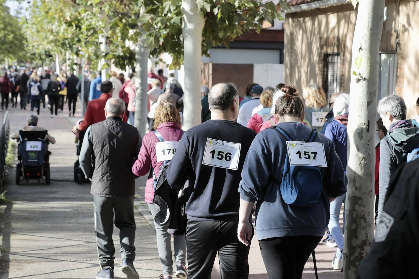 Marcha por el daño cerebral en Valladolid