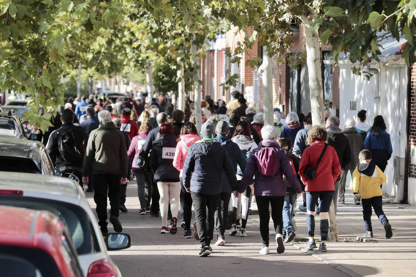 Marcha por el daño cerebral en Valladolid