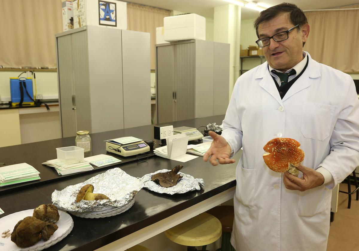 El catedrático Juan Andrés Oria de Rueda, con una amanita muscaria en la mano.