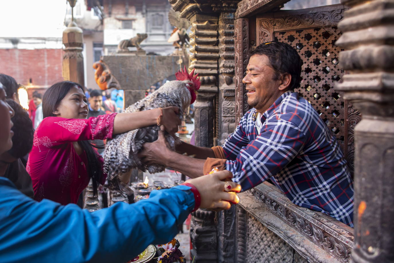 Nepal celebra el festival Dashain