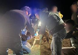 La guardia civil toma muestras de los perros que atacaron a la joven.