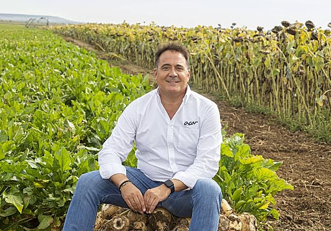 José Luis Domínguez, director general de ACOR en unos campos de ensayo de remolacha y girasol.