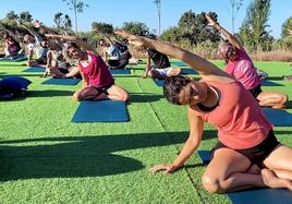 Un grupo de yoga hace estiramientos.