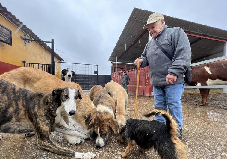 Eugenio, 'El Pastor de Robladillo' con sus perros de careo, entre ellos, 4 mastines.