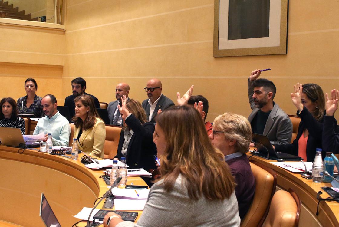 El pleno en imágenes