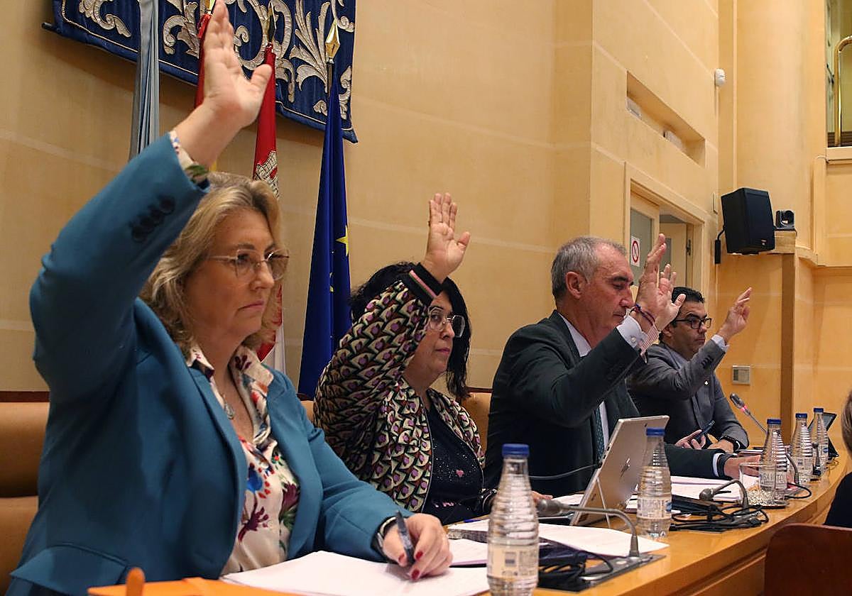 El pleno en imágenes