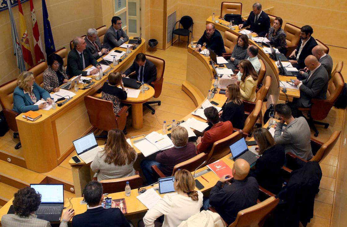 El pleno en imágenes