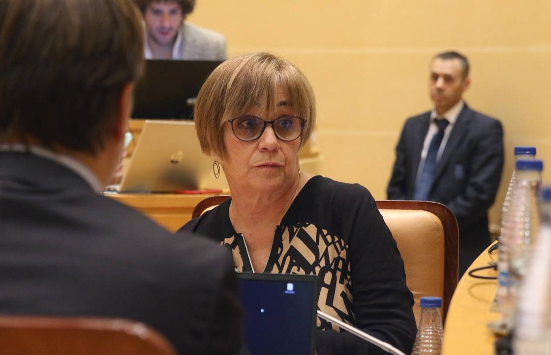 El pleno en imágenes